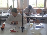 Schule 1204 : Schule